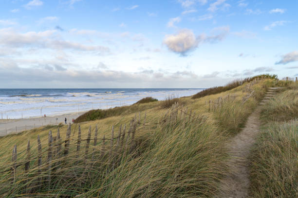 istock Dune potection at the North Sea costline 2197368655