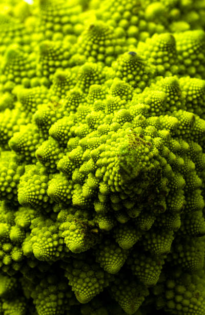 istock Vegetables: Romanesco Cauliflower Broccoli Close -up. 2197375299