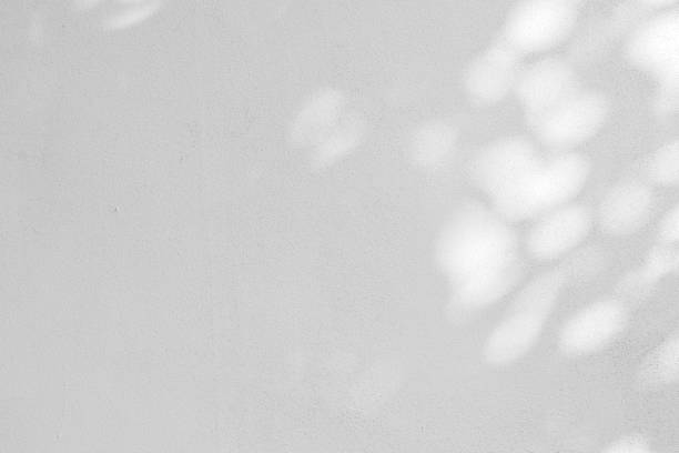 istock close up on white plain wall background texture with shadow of window from sunlight for ads and advertisement product such as cosmetic or content or goods design display concept 2197383779