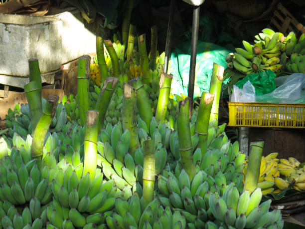 A pile of green banana in market