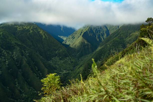 istock The lush green mountains under a cloudy sky in a tropical landscape. 2197386501