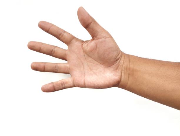 istock Asian man  hand  gesturing five fingers open isolated on white background 2197390793