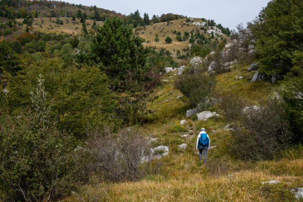 istock Woman hiking in the mountains 2197392592