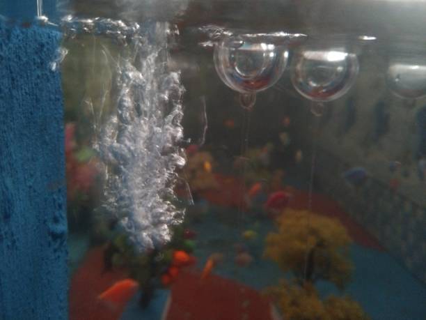 istock Air bubbles in the aquarium 2197393171