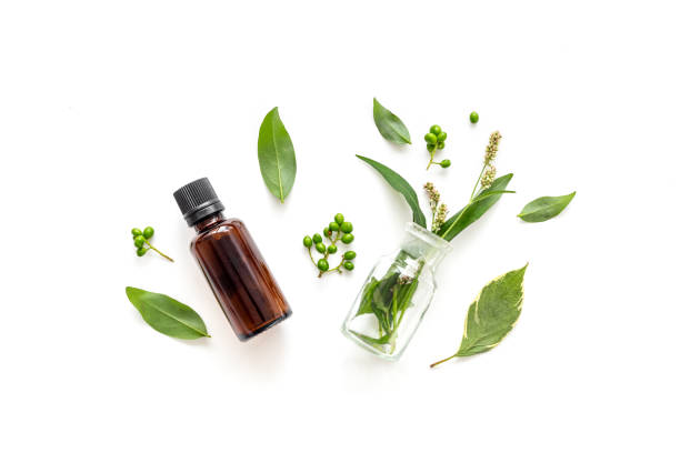 istock Herbal cosmetics with essential oils of medicinal fresh herbs, top view 2197393474