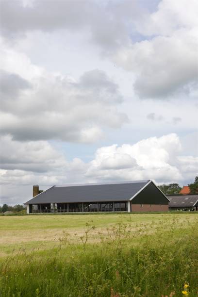 istock Modern new built cattle barn at Dairy farm in Dutch landscape. 2197395092