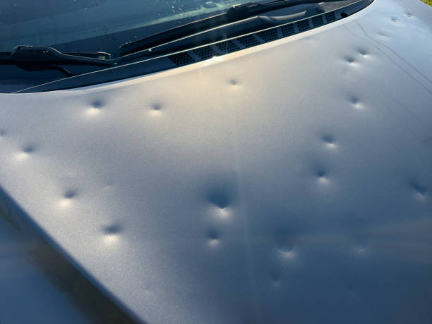 5+ Hail free images