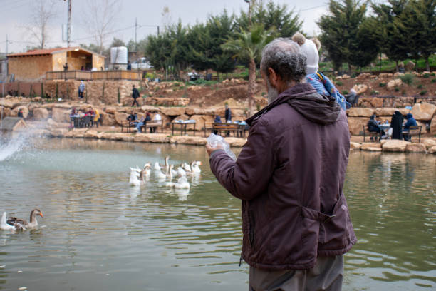 istock Man With Child Feeding Ducks by a Park Pond on a Calm Day 2197404862