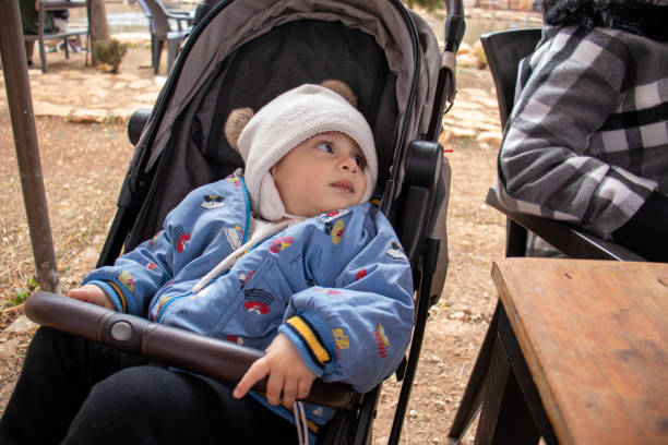istock Adorable Toddler in a Cozy Stroller Outdoors During a Peaceful Day 2197405093