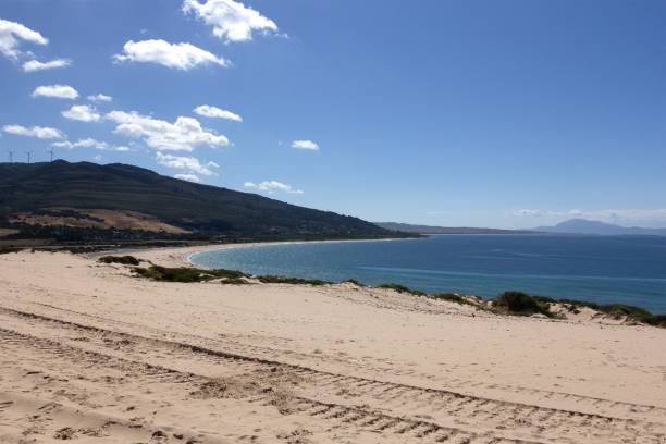 istock Scenic Coastal Landscape with Sand Dunes 2197407568