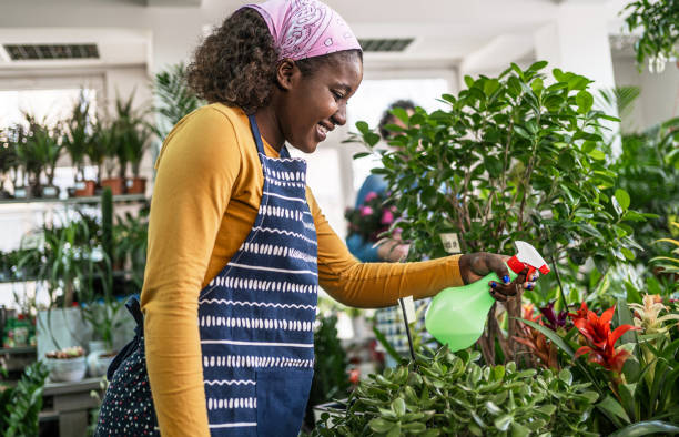 istock Female florist spraying potted plants with water 2197408574
