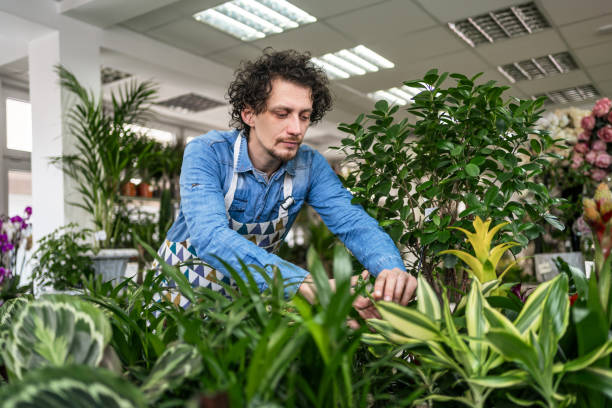 istock Florist man working at flower shop 2197408718
