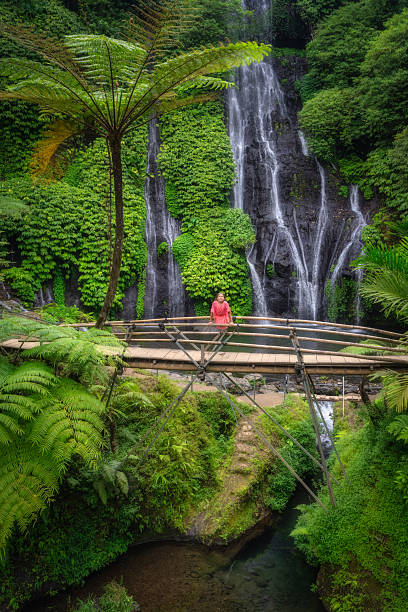 istock Experience the enchanting tranquility of a mesmerizing waterfall nestled within the lush green wilderness 2197413209
