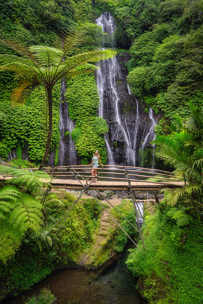istock A Serene Waterfall Flowing Gracefully Amidst the Lush Greenery Found in a Beautiful Tropical Paradise 2197413262