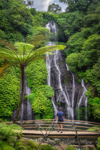 A Serene Waterfall That Is Beautifully Surrounded by Lush Greenery Within a Tropical Landscape Environment