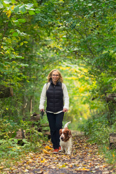 istock Dog walking in the forest 2197413663