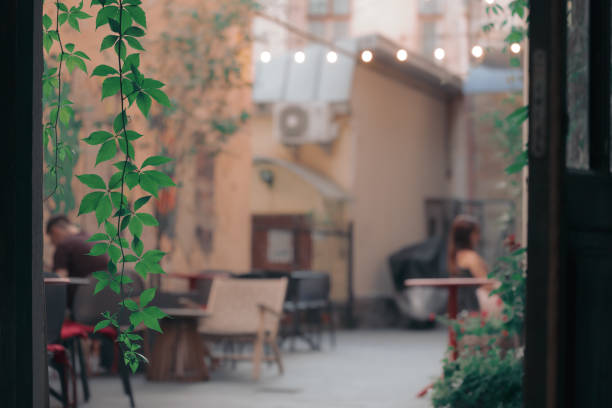 open air yard vintage cafe cozy hipster space foreground frame with plants interior concept pattern