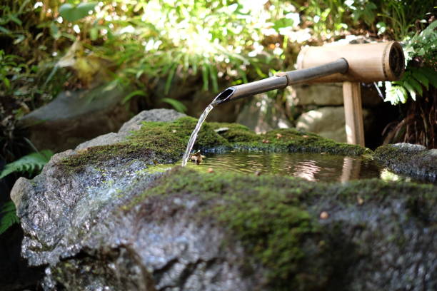 istock Japanese garden 2197418747