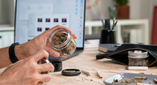 istock Asian male creative industries worker, choosing cannabis buds in an office, surrounded by a relaxed ambiance with cannabis equipment and accessories on the table. 2197420813
