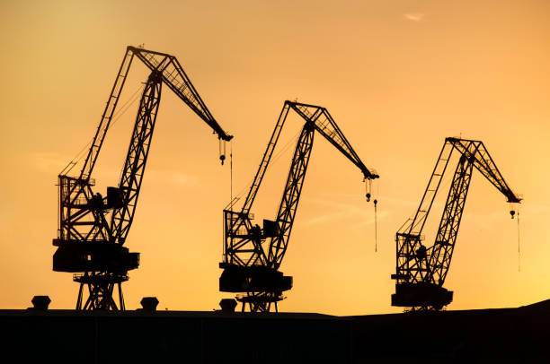 istock Silhouettes of Cranes Against Sunset Sky 2197422236