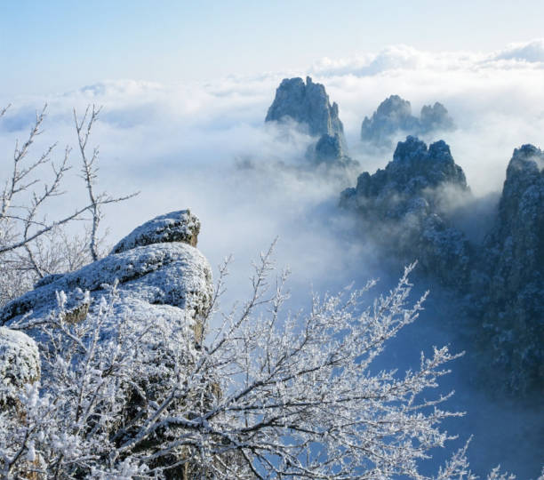 A scenic view from the snowy mountain, with rocks and snow-covered plants in the foreground, and a sea of clouds with distant mountain peaks in the background.