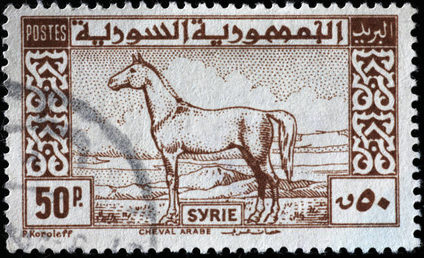 Arabian horse on vintage syrian postage stamp