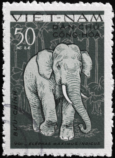 istock Asian elephant on Vietnamese postage stamp 2197425779