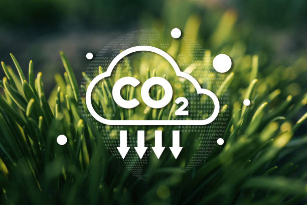 Green grass with a CO2 reduction icon, representing carbon capture, sustainability, and environmental conservation through nature-based solutions.