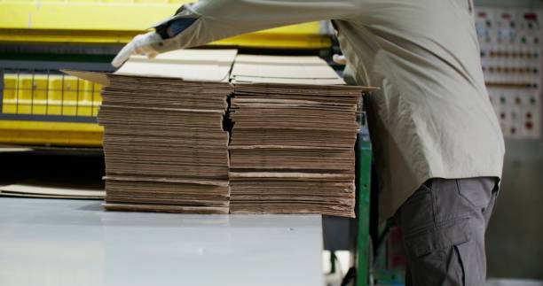 istock A man works in a paper mill 2197432087