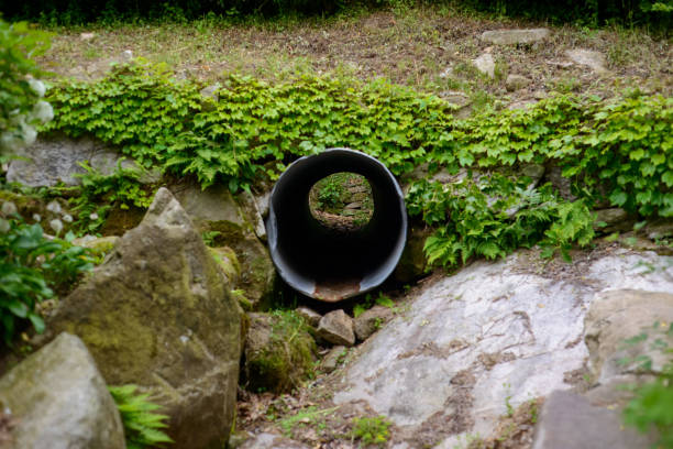 istock Leaves visible through old drain pipes. 2197438831