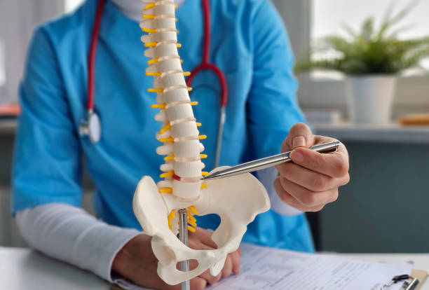 istock Doctor with model of spine and pelvis concept 2197439607