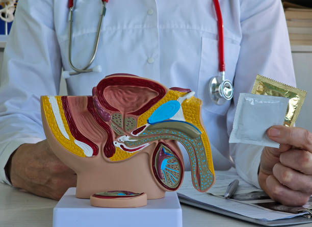 istock Doctor holding a condom male reproductive system 2197444431