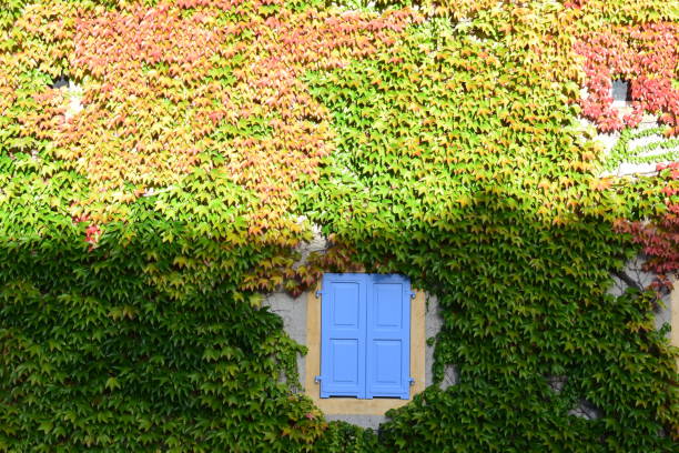 village in the North of France during autumn