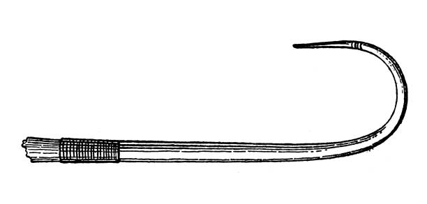 Antique illustration (1898): Fishing gaff