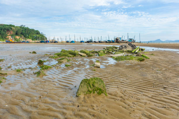 A lila boat on the sand close to an orange buoy. Cantabrian coast, Spain