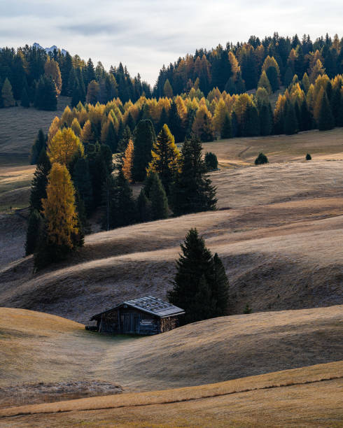 istock Lone chalet in Alpe di Siusi, Dolomites 2197452814