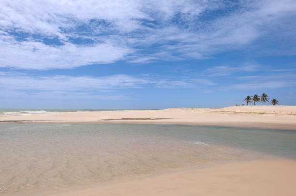 Tropical sandy beach near Fortaleza in Ceará State in Brazil on a sunny midday in July. The image was captured with a sharp lens and a full frame DSLR camera at low ISO. The image is part of a series.