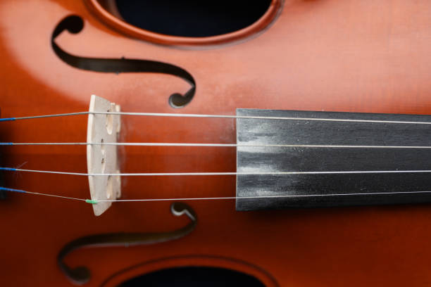 istock A beautifully crafted violin with a rich wooden finish 2197454788