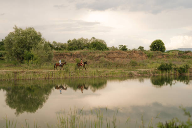 Man bathes in the summer river horse