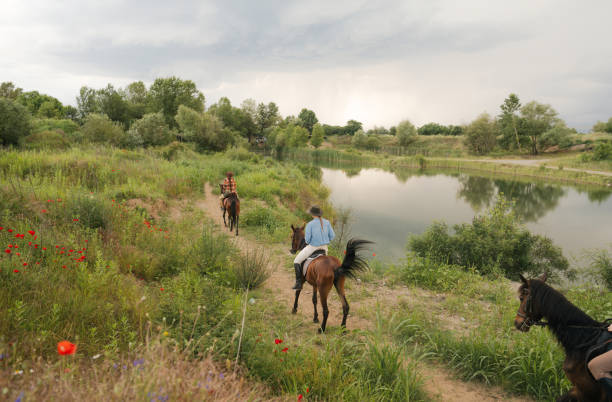 A single saddled Jeju pony stands near mounting blocks on the grassy slope below Seongsan Ilchulbong, with pine trees forming a dark backdrop.