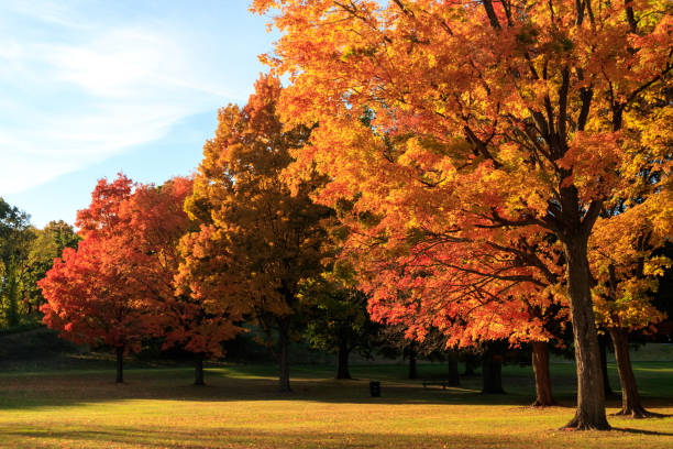 istock Fall colors at Kensington Metropark, Michigan 2197458329