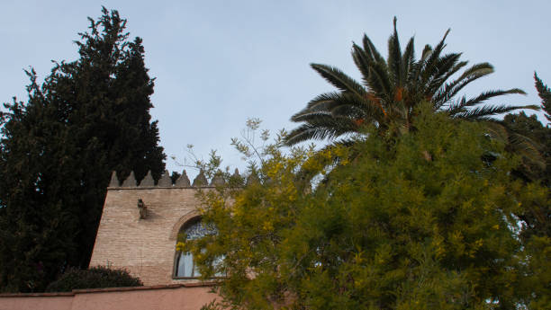 istock View of a private garden behind a wall. 2197461690