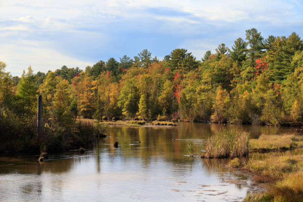 istock Fall colors along the Torch River, Michigan 2197462786