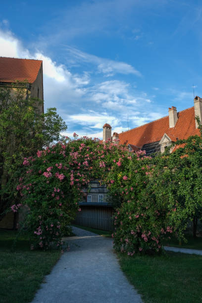 istock Garden Arch with Blooming Flowers and Red Roofs 2197462921