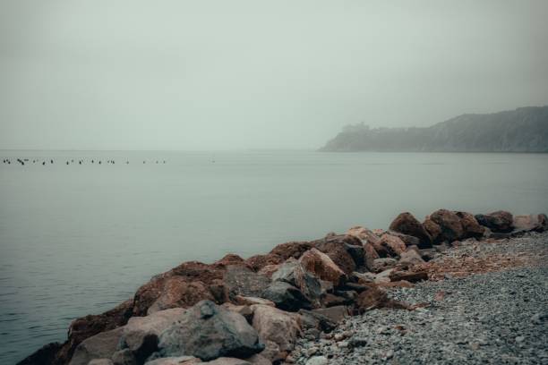 Foggy coastal landscape with rocky shoreline and distant cliffs under a muted sky.