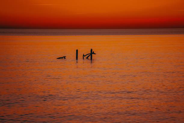 Serene sunset over calm ocean waters with silhouetted wooden posts, creating a tranquil and warm atmosphere.