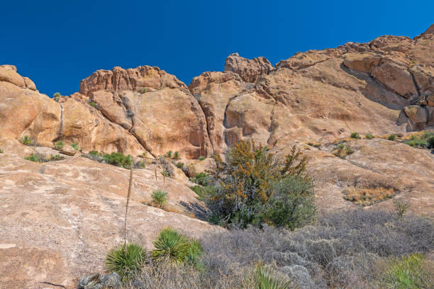 istock Red Volcanic Tuff and Desert Vegetation 2197465628