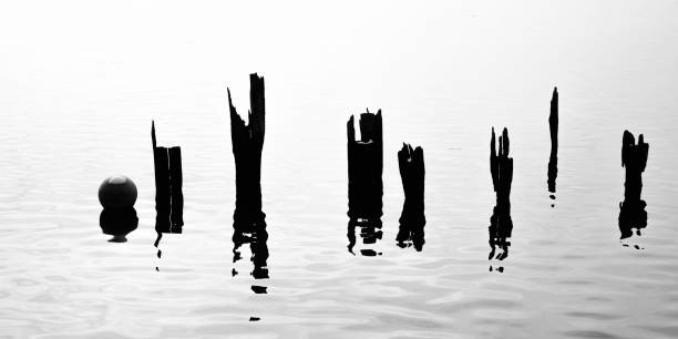 Old ruined pier pilings in the water, abstract minimalistic geometry in monochrome color for conceptual backgrounds for endurance, time passing, solitude, resilience, and stand strong