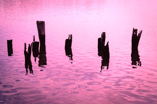 Old ruined pier pilings in the water, abstract minimalistic geometry in monochrome color for conceptual backgrounds for endurance, time passing, solitude, resilience, and stand strong