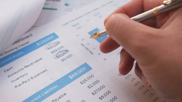 istock Analyzing Financial Data with Extreme Precision and Care for Better Insights into Performance 2197470319